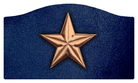 DASHELL-430-BZ-BL Star Bronze-Blue